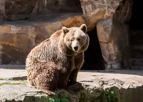 ベルリン動物園