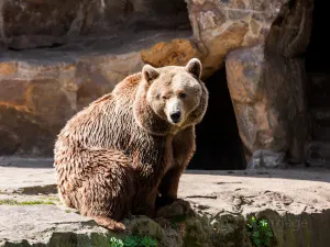 Zoo de Berlin