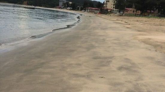 巽寮海湾少有的尚未被开发的沙滩，海滩上的沙质洁净细腻，沙子又