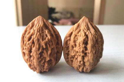 肯德基(鑫乐汇店)