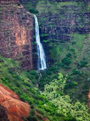 Waipo'o Falls Trail