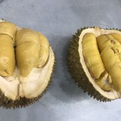 Durian SS2 User Photo