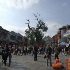 老槐树煎包 ảnh của người dùng