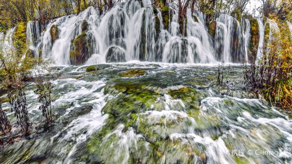 黃龍九寨高鐵站-九寨溝風景區景點接駁車（單程）