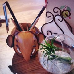 FENNEL User Photo