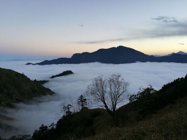 Sirentong