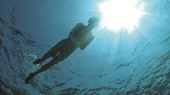 Malaysia Langkawi Local Snorkeling + Lunch + Transfer