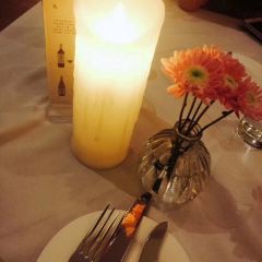 Hippopotamus User Photo