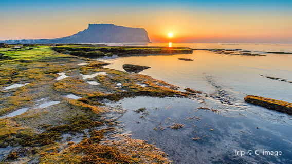 Sunrise Sightseeing in Seogwipo