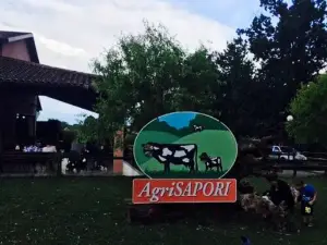 Agrisapori