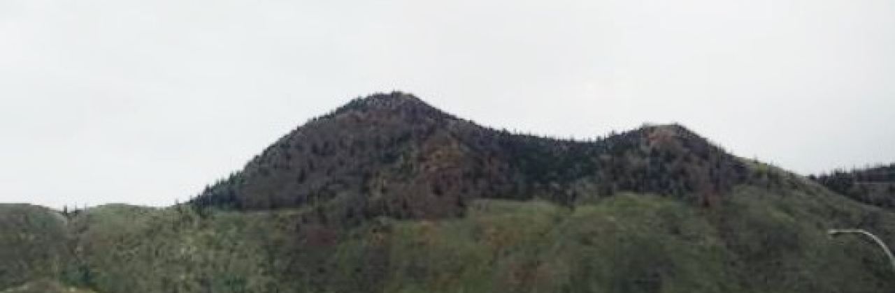 Harold's Family Restaurant