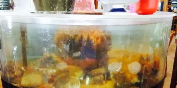 Restaurante Marisqueria Don Gomez 4