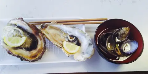 Matsushima Sugihara Isao Shoten