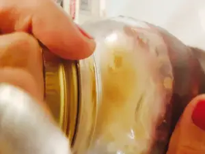 El Vapor Gastronomic