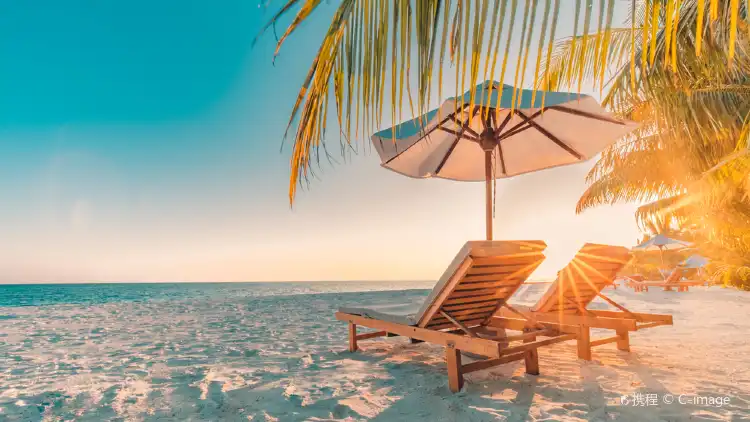 Hotels With Gym in Bahamas