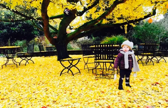 Jochumshof Botanische tuin