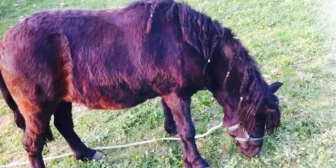 Il Giardino dei Sapori