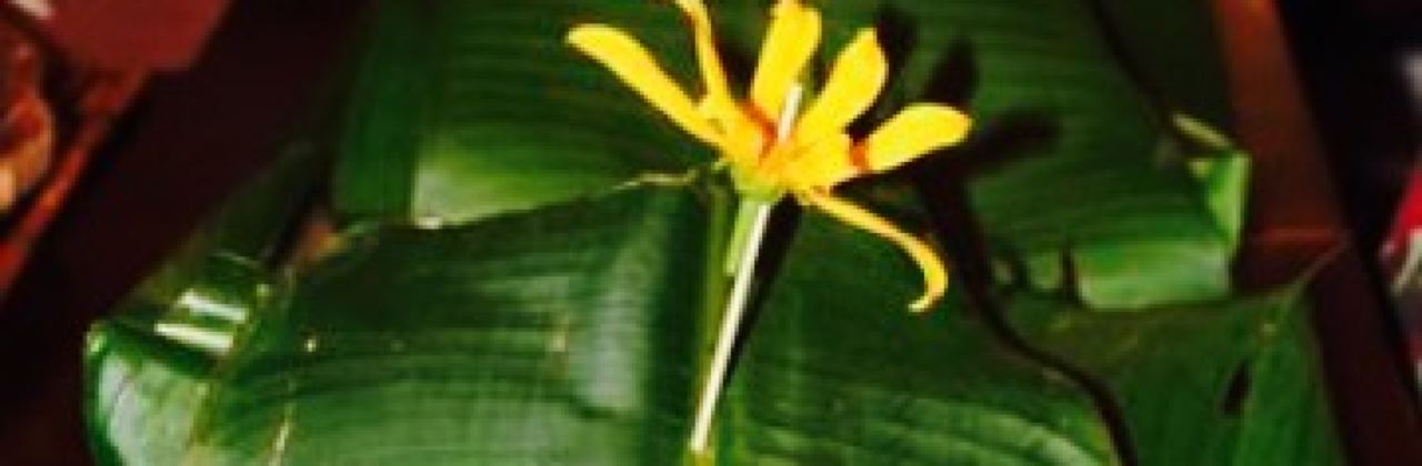 Hāna Farms Roadside Stand, Pizza Oven and Bakery