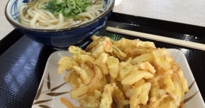Marugame Seimentorius