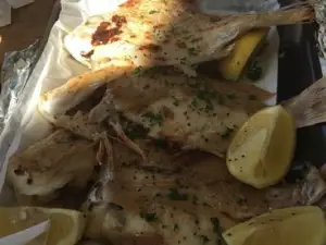 The Fish Factory