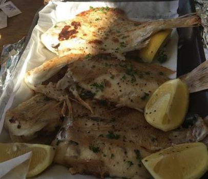 The Fish Factory