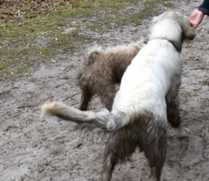 Auberge de Moerse Hoeve