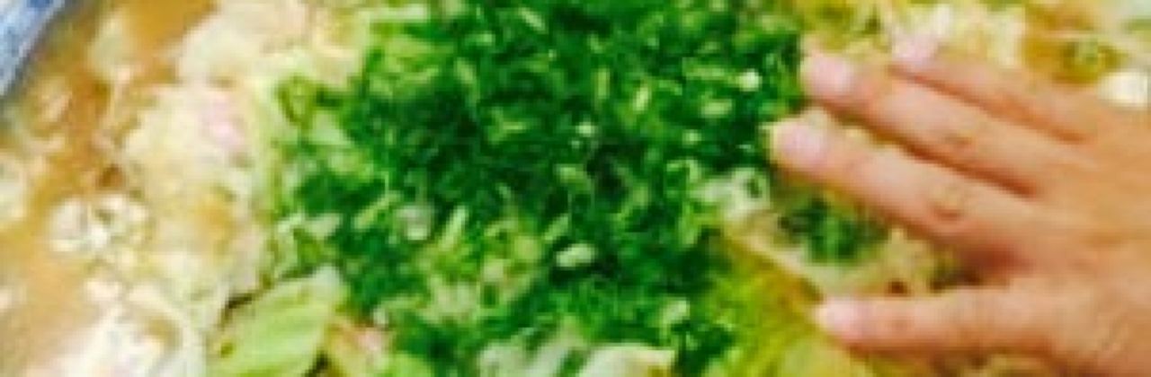 Shunraiken Nakaichiten