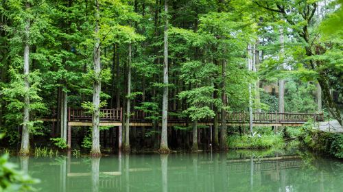 華頂國家森林公園