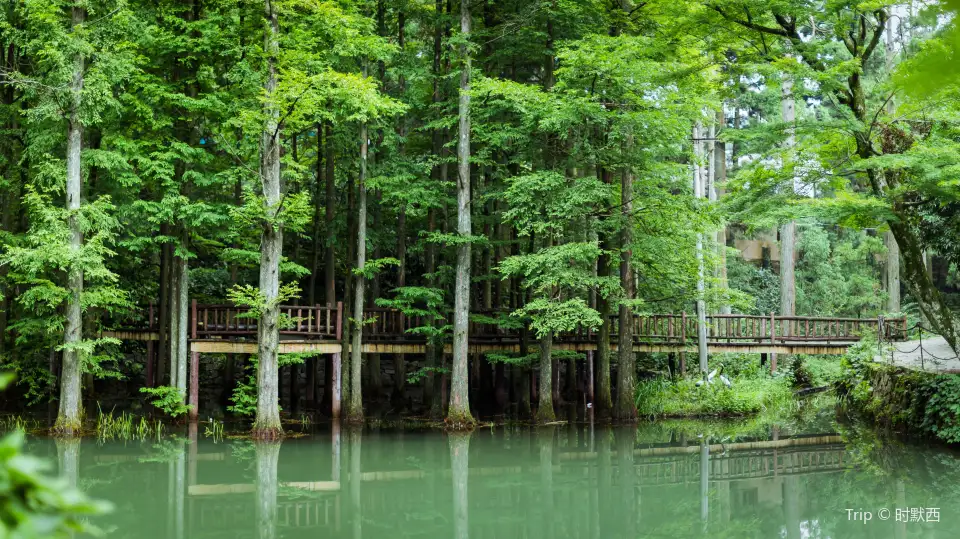 3_Huading National Forest Park