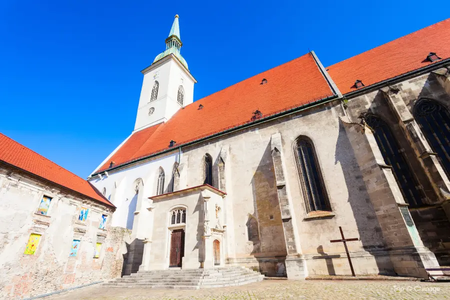 St. Martin's Cathedral