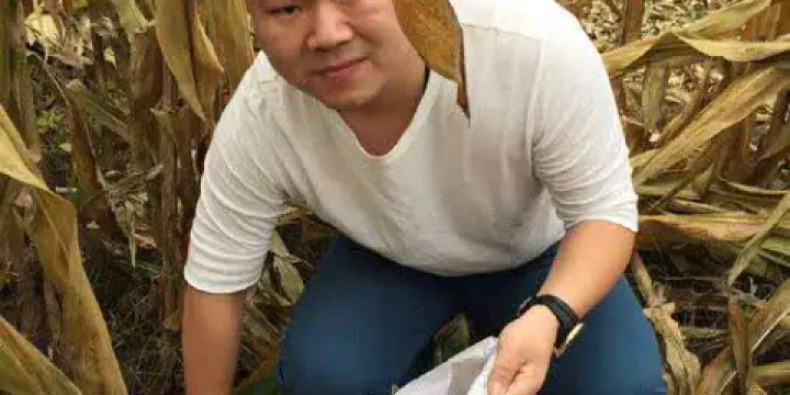 康乃馨麵包房(七號店)