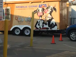The Cone