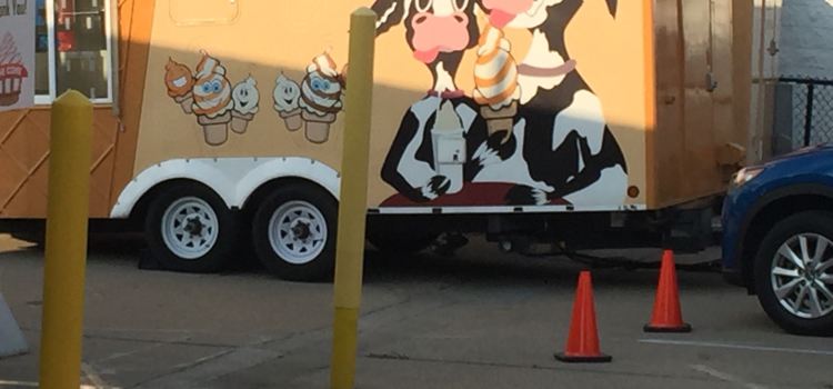 The Cone