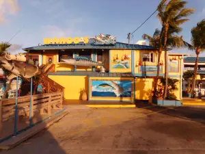 Wahoo's Seafood Bar and Grill Restaurant