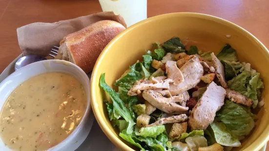 Panera Bread