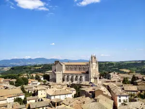 Duca di Orvieto