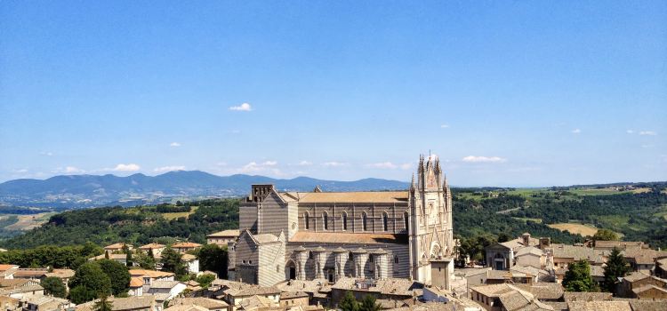 Duca di Orvieto