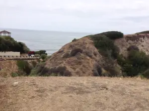Malaga Cove Ranch Market