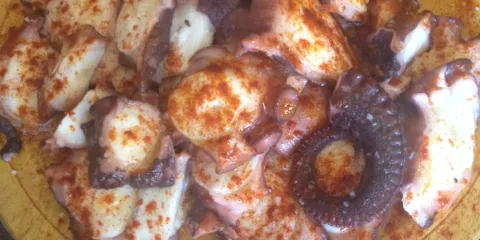Casa do pulpo