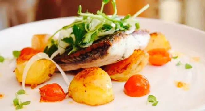 The Teller Collective