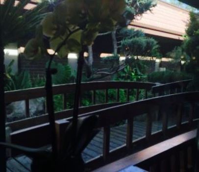 Tokyo Garden | Japanese Restaurant