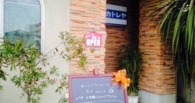 Cafe Cattleya