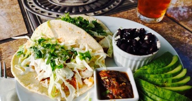 Wild Fig Kitchen