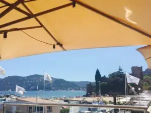 Le Spot