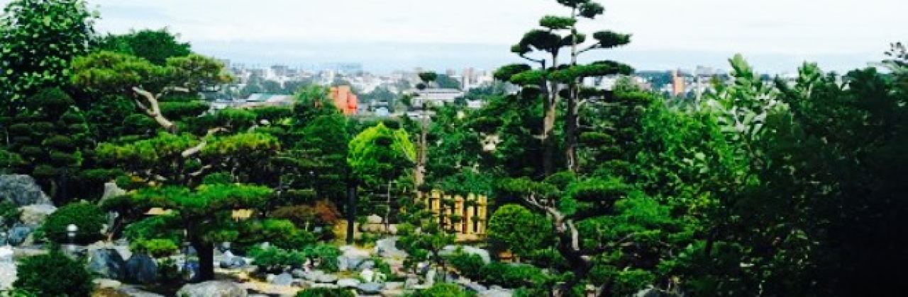 Cafe de Roman, Moiwa