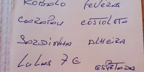 Café Churrasqueira Nossa Senhora do Mar