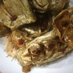 Hing Kee Restaurant 여행 사진