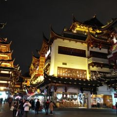 Shanghai You Garden 上海豫园 User Photo