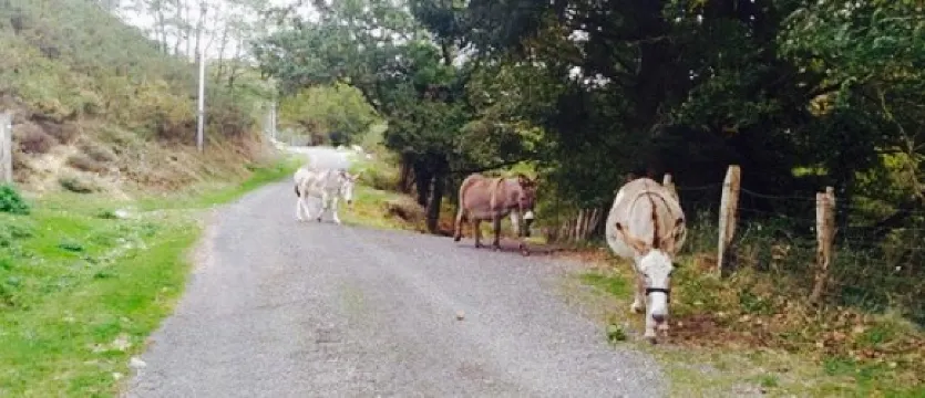 Pierre Oteiza Produits du Pays Basque