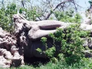 The Baobab Restaurant (formerly Upside Down Restaurant)